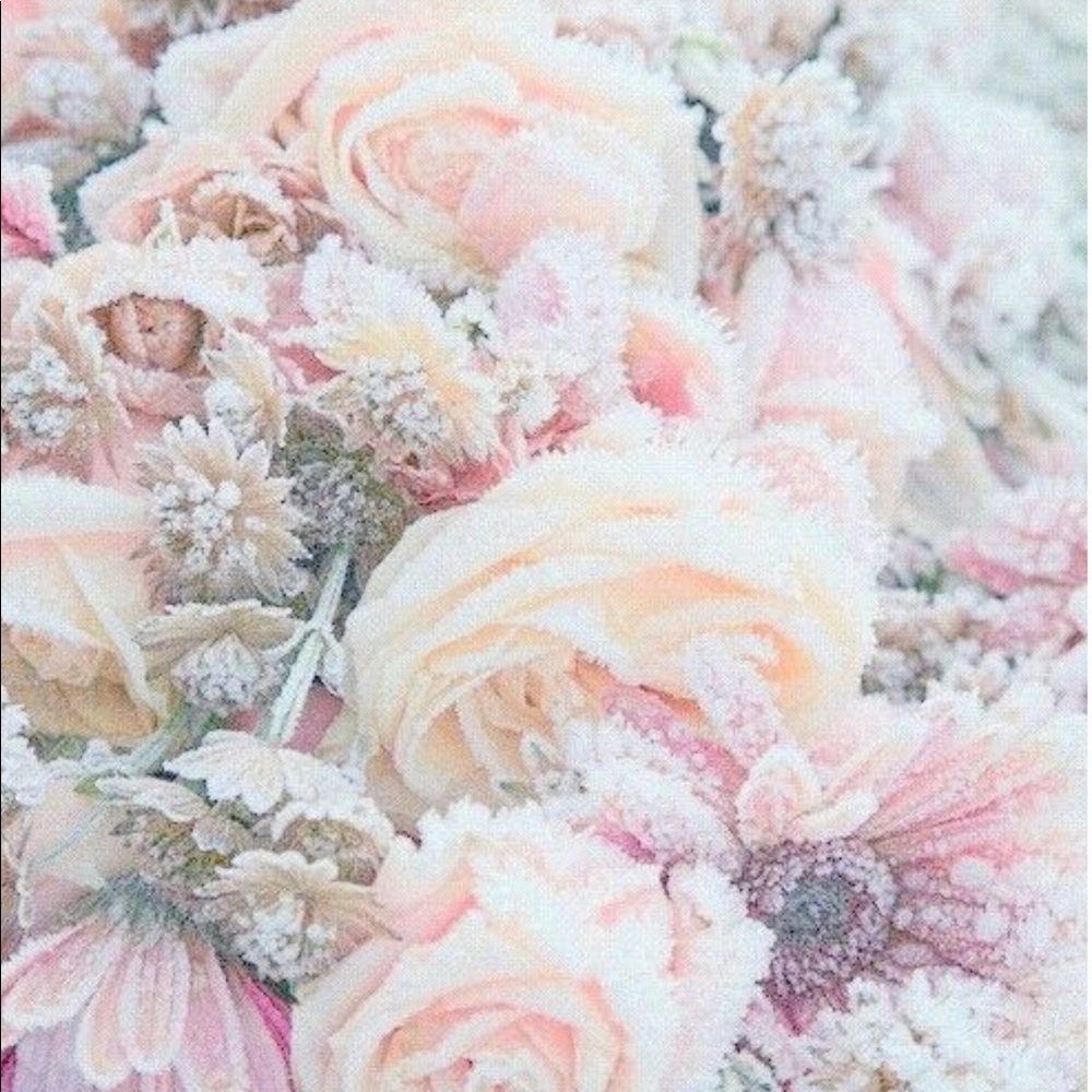 Meet your Posher, Adi